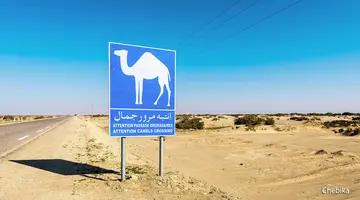 Saharyjski Off-road