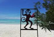 Red Monkey Beach Lodge