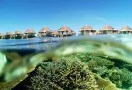 Safari Island Resort & Spa