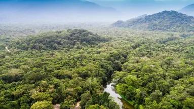 Głęboki oddech Świata - Amazonia