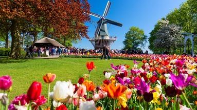 Kwitnący Amsterdam