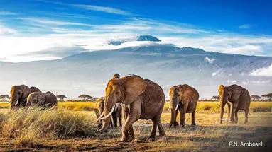 Na Czerwonej Ziemi Masajów