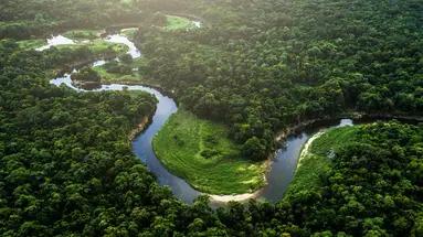 Nieokiełznana przyroda - Manaus, Iguacu