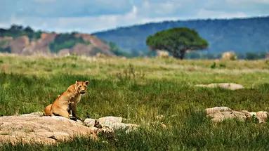 Oko Ngorongoro