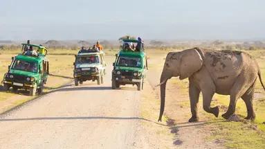 Safari, wspaniala Kenia